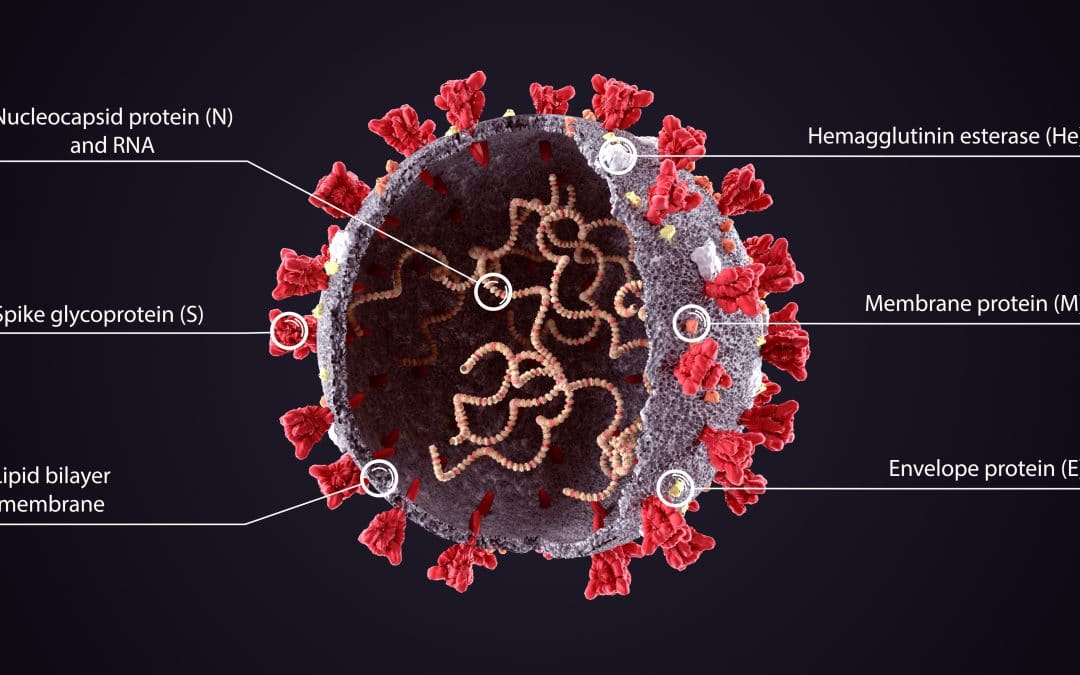 How does infrastructure support the discovery of emerging COVID-19 variants?